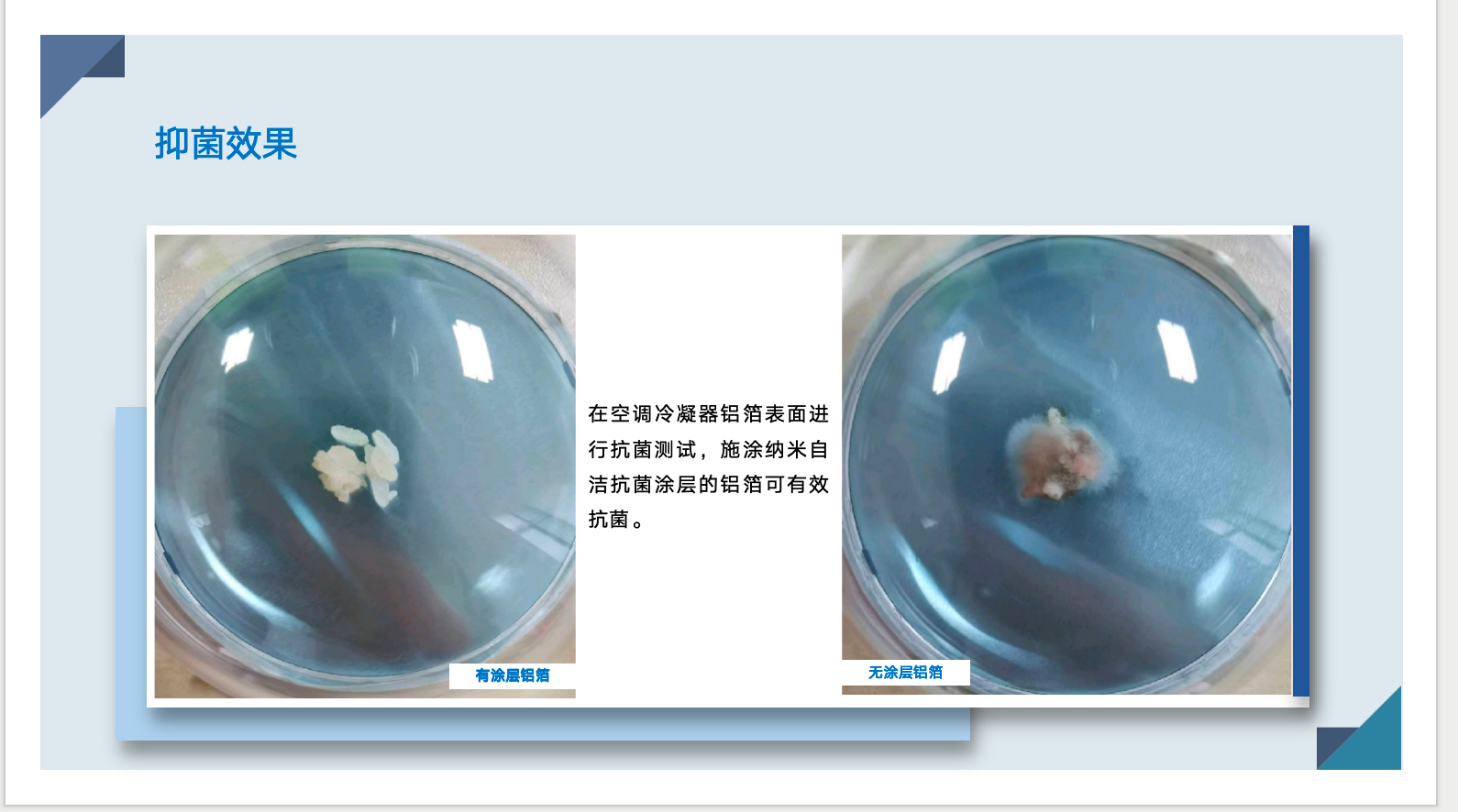 抑菌效果：培养皿对比