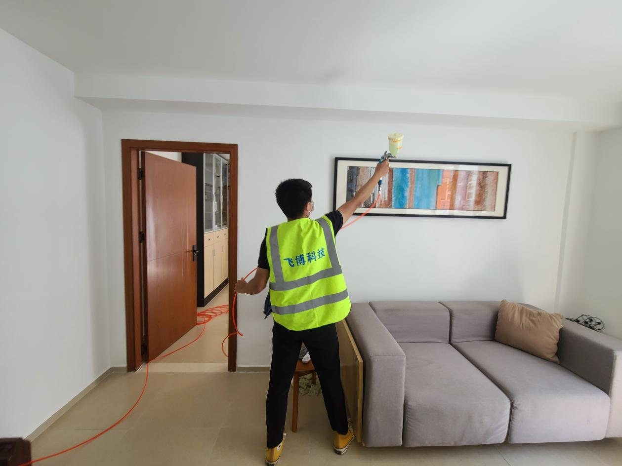 Living-room walls and sofa
